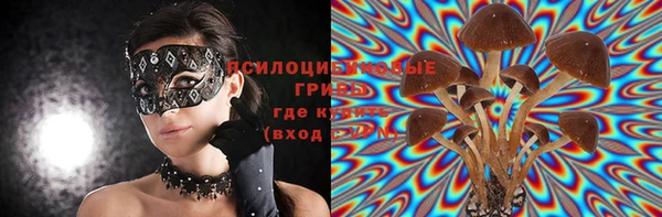 ГАЛЛЮЦИНОГЕННЫЕ ГРИБЫ Верхнеуральск