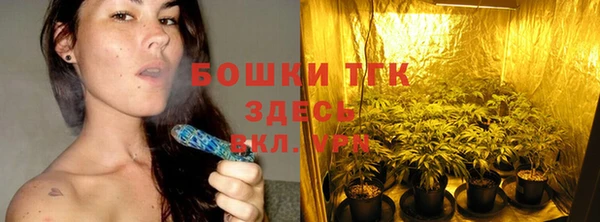 молекула духа Верея