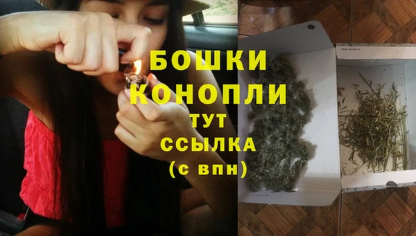 молекула духа Верея