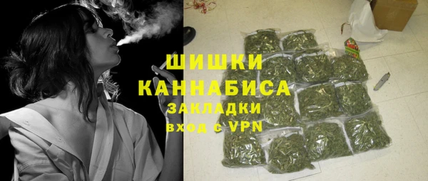 гидра Володарск