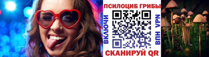 Псилоцибиновые грибы GOLDEN TEACHER  купить   Дятьково 